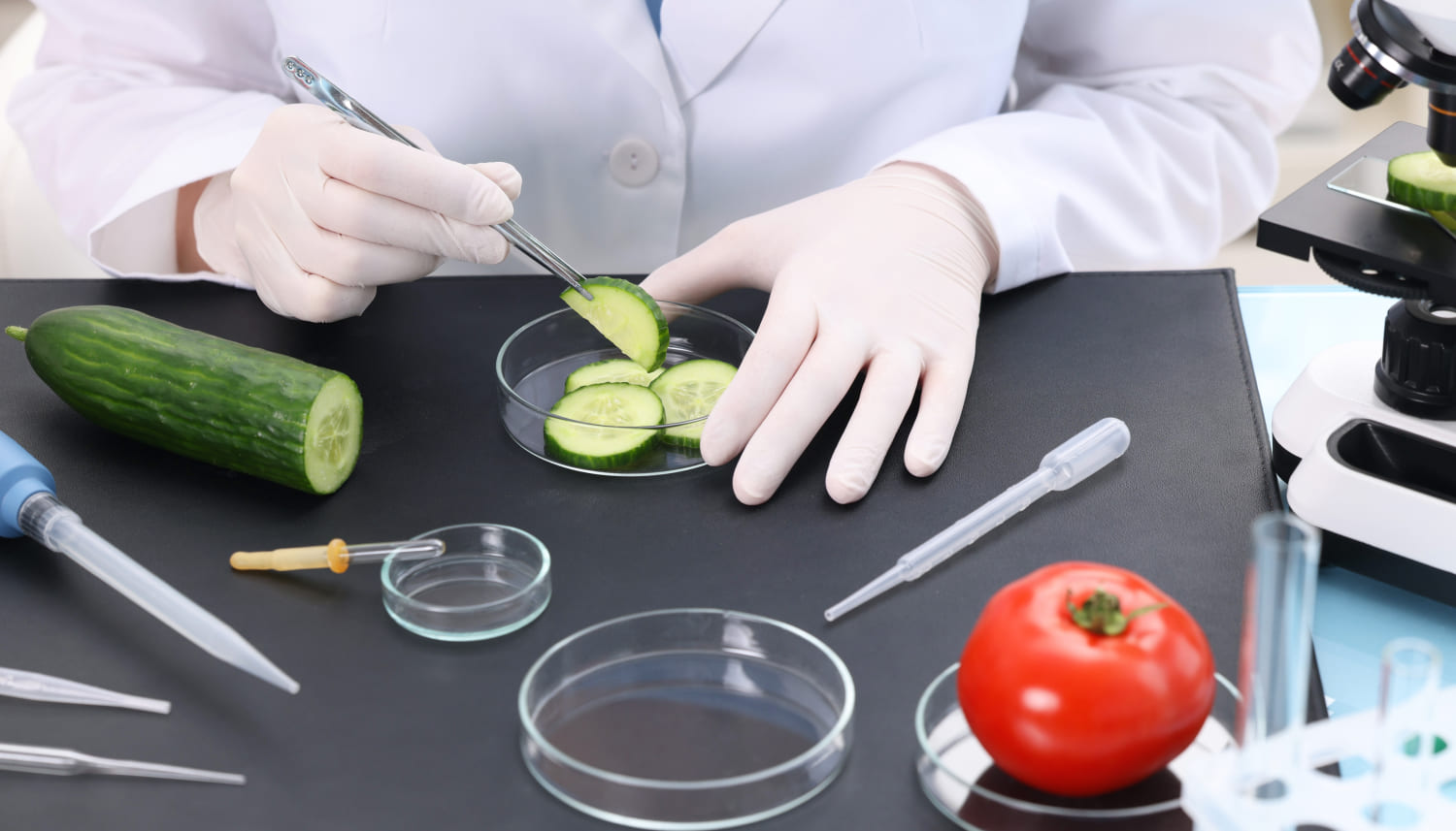 実験室でキュウリを調べる食品検査員