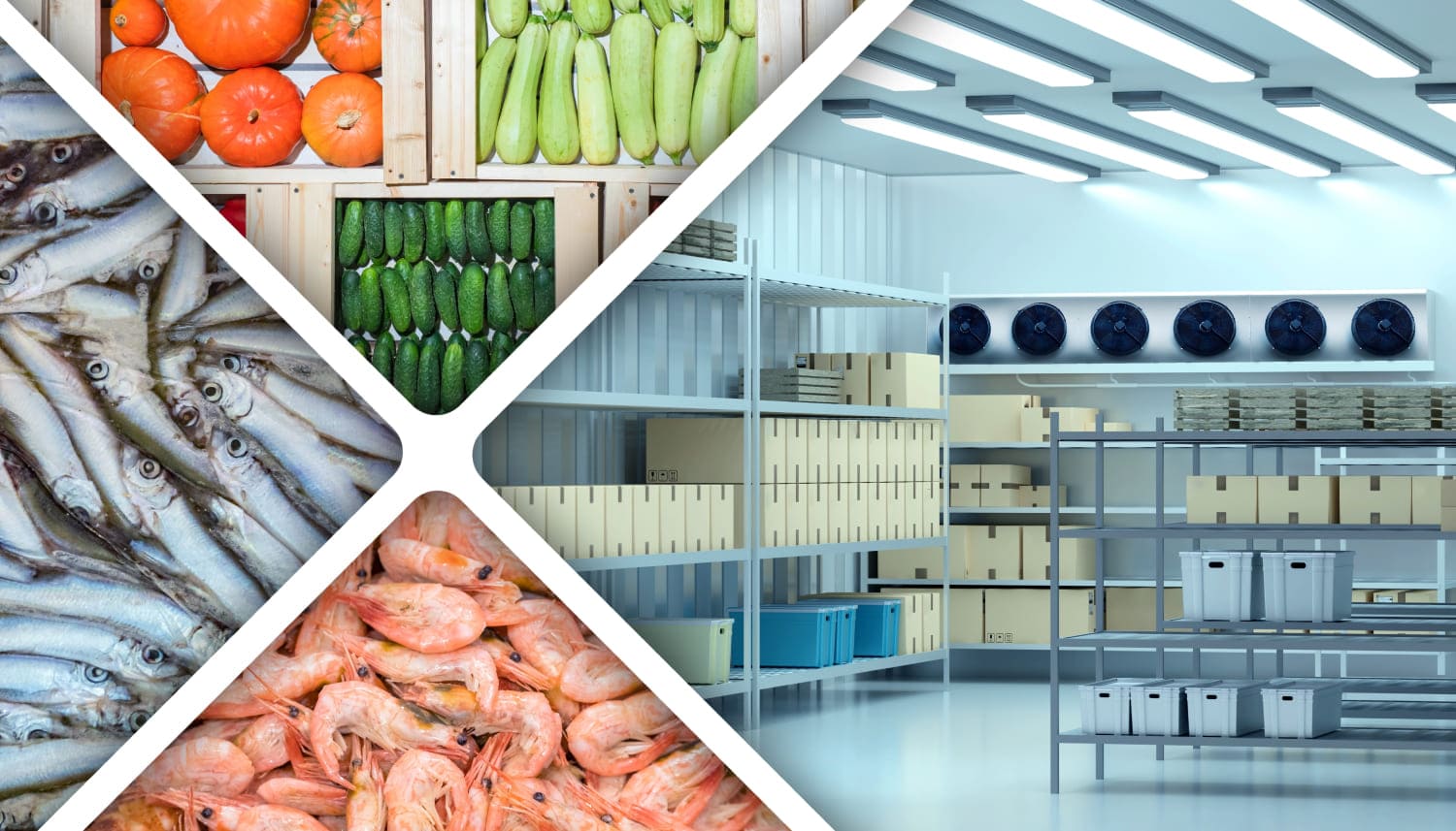 上の枠に野菜、右枠に食品倉庫、下枠にエビ、左枠にお魚の4枚の写真