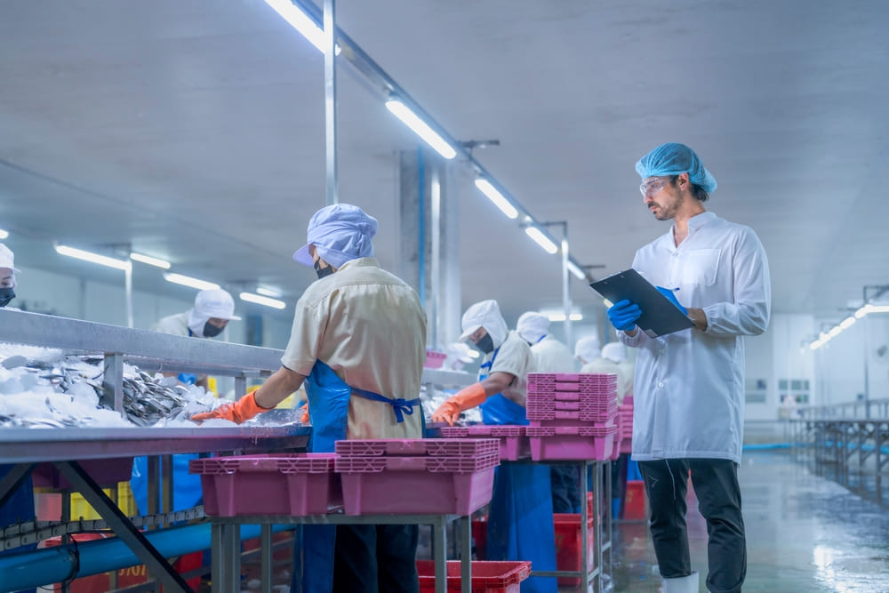 食品の工場で作業する従業員と白衣を着た作業見る男性