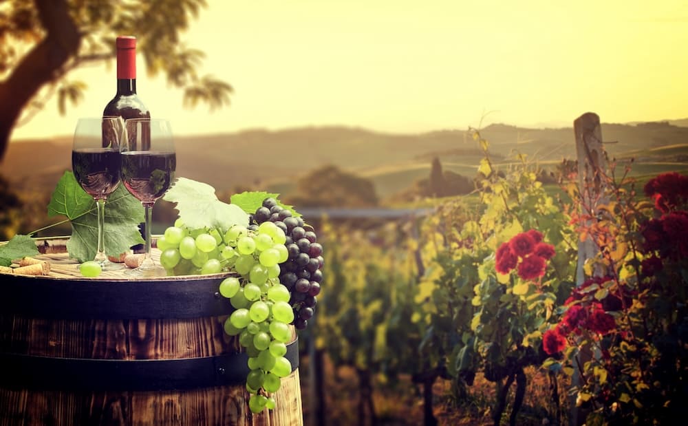 ブドウ園と樽に置かれたワインとマスカット
