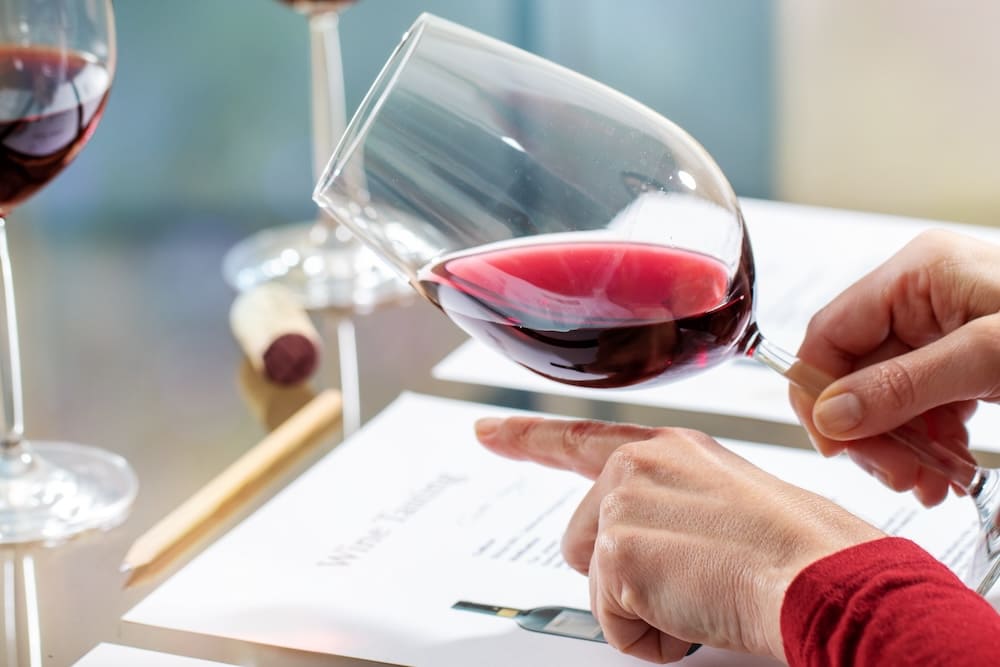 紙見ながらワインを調べるソムリエ