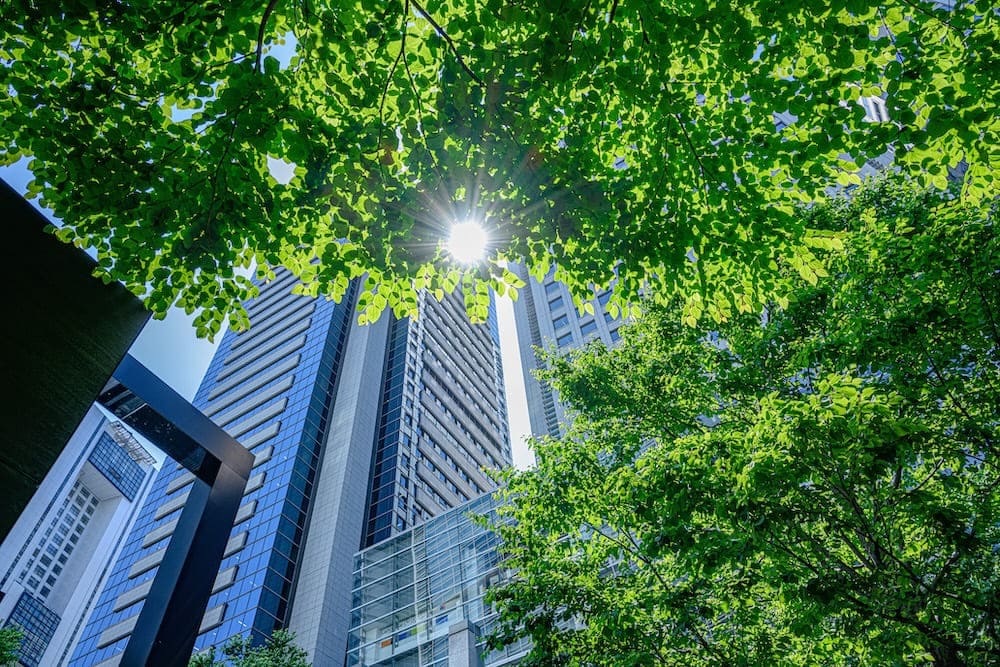 緑の木々と高層ビル