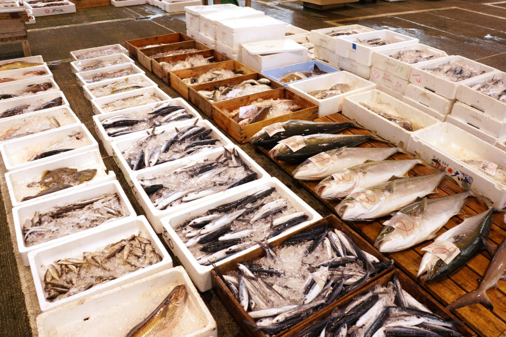 市場に並ぶ大量の魚